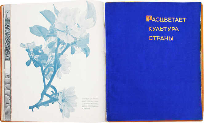 [Редкость]. 15 лет Казакской АССР / Оформ. Н.С. Трошина, фотоматериал Е.М. Лангман, Д.М. Шулькин. М.; Л., 1935.